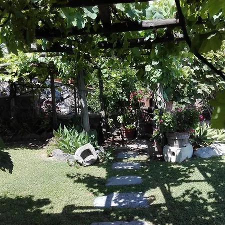 Il Vigneto Apartment Ischia