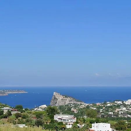 Il Vigneto Apartment Ischia