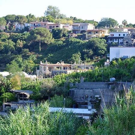 Il Vigneto *