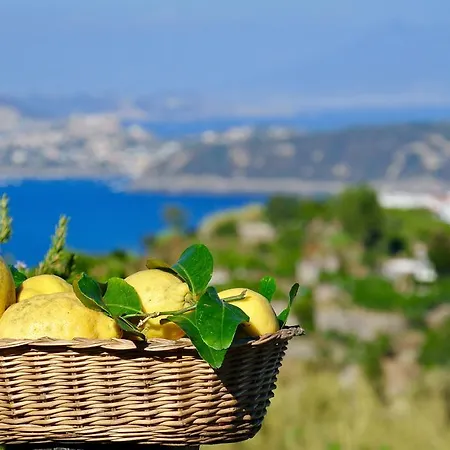 Apartment Il Vigneto Ischia