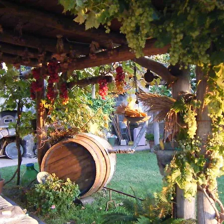 Il Vigneto * Ischia