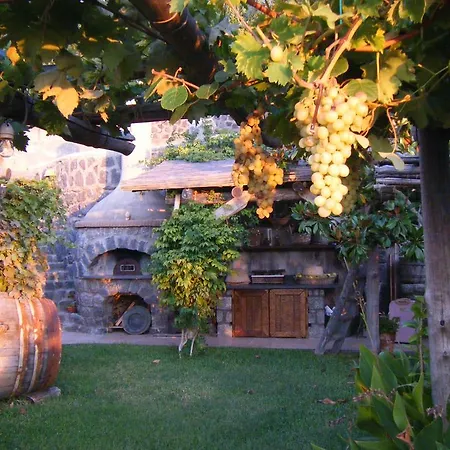 Il Vigneto *