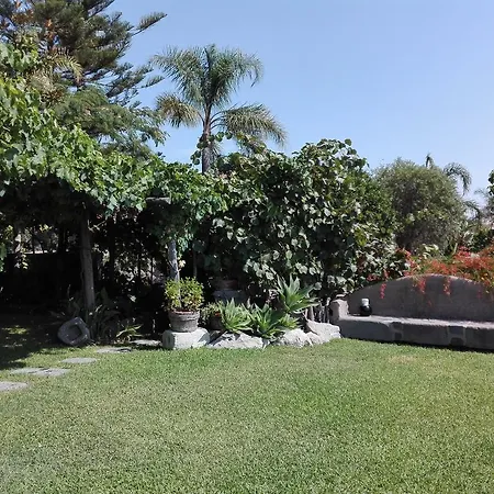 Il Vigneto Apartment *