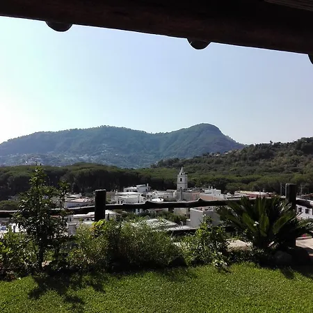 Il Vigneto Apartment Ischia