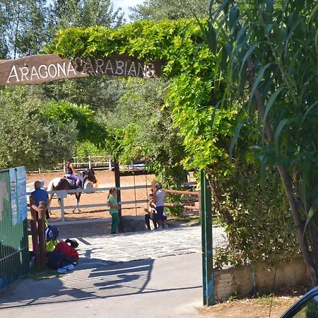 Apartment Il Vigneto