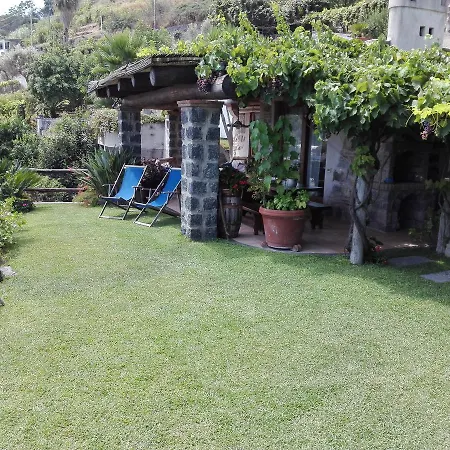 Il Vigneto *