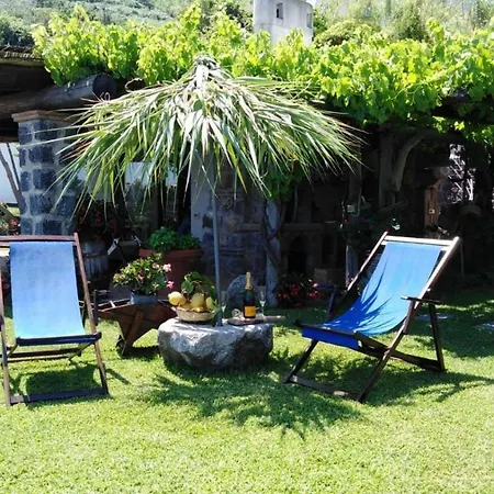 Il Vigneto Ischia